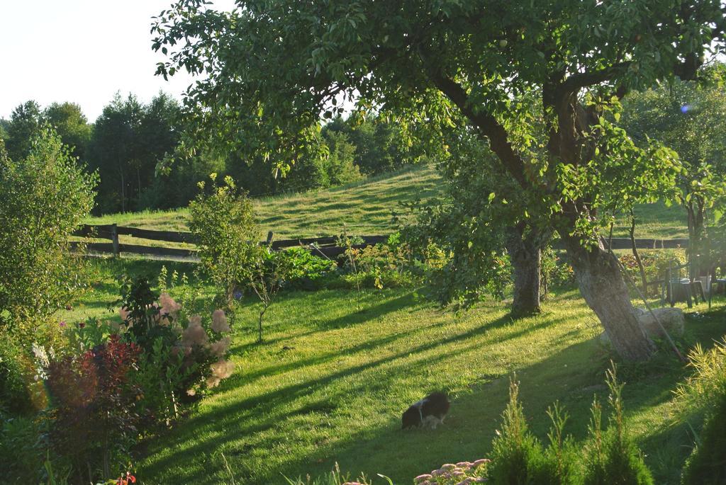 Jora Siedlisko Pension Jora Wielka Buitenkant foto